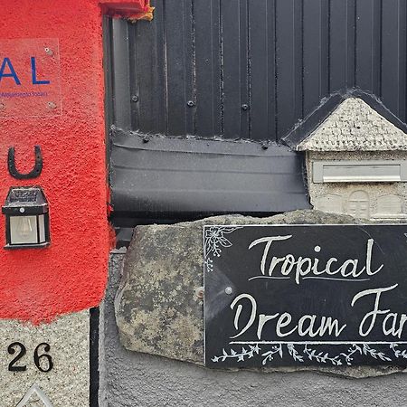 Tropical Dream Farm Hotel Vouzela Exterior foto